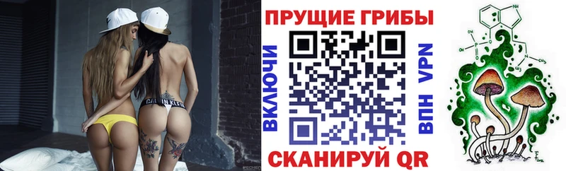 это состав Волгоград Псилоцибиновые грибы мицелий